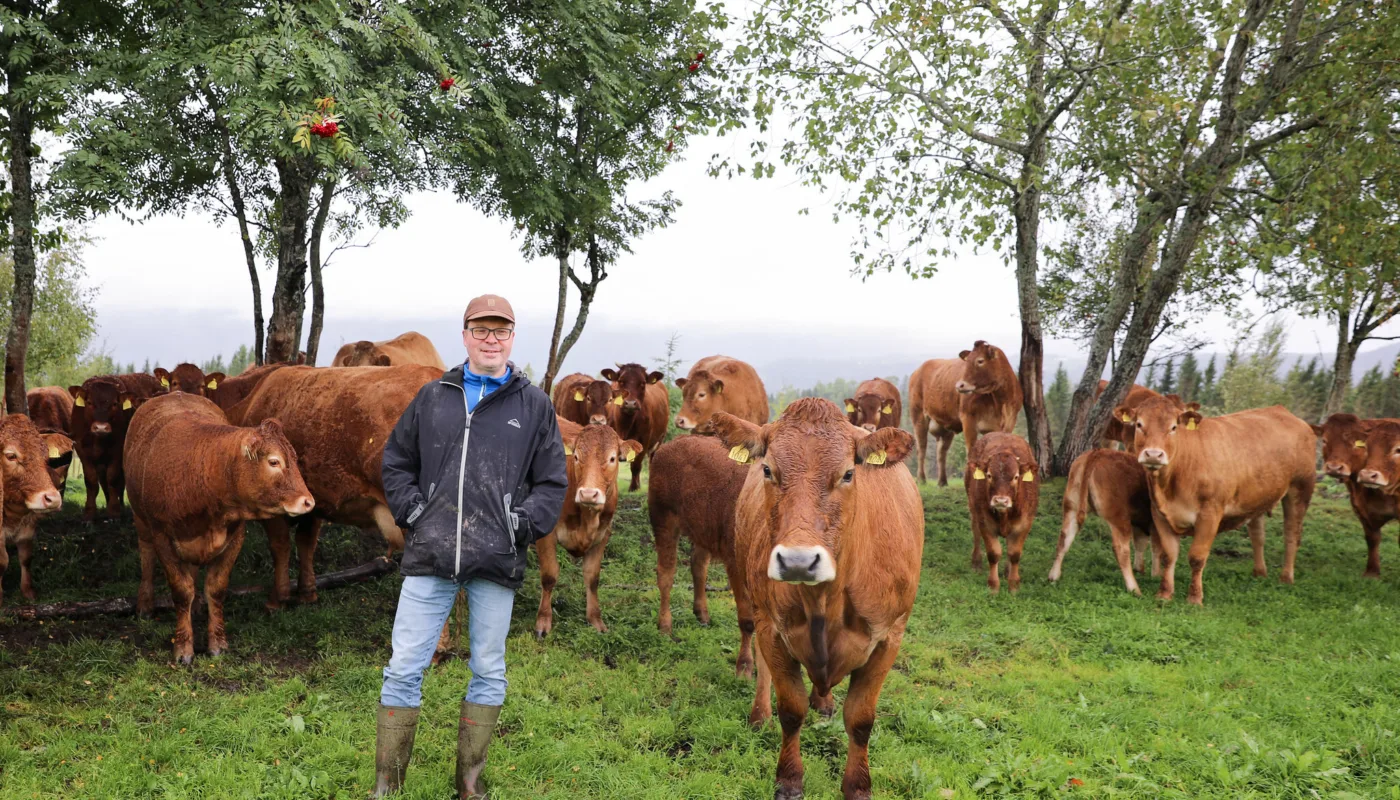 49378679616 1c6efe9f49 k FELLESKAP OG KUNNSKAP: Prosjektet skal knytte sammen nye og vordende økobønder innen både husdyr og plantedyrking for å stimulere til økt produksjon av økologisk mat. (Foto: Birgitta Eva Hollander, Debio.)