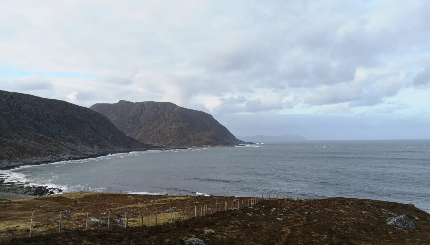 2020 04 17 09 03 24 NYE BEITEOMRÅDER: Forskningsfelt på Nerlandsøya i Herøy kommune