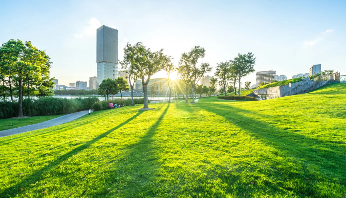 Urvan farms Urbane områder og landbruk tett inntil hverandre byer på muligheter og utfordringer. Hvordan kan vi legge til rette for en sameksistens som er nyttig for samfunnet? (Foto: Adobe stock)