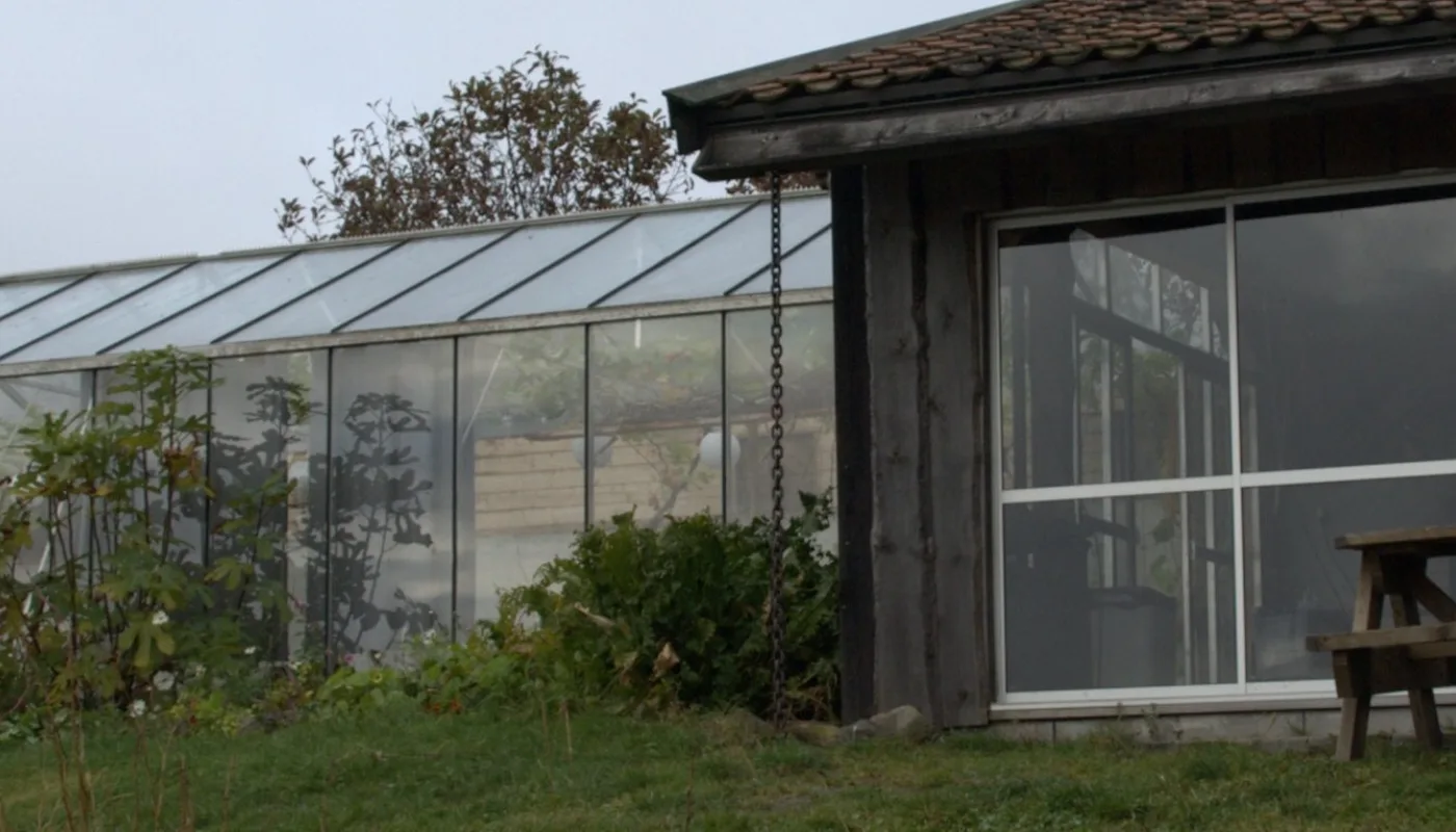 Drivhus Ullandhaug Økologisk veksthusproduksjon under omstilling. (Foto: Susanne Friis Pedersen)