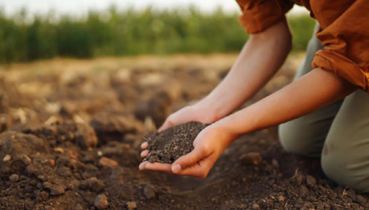 Soil carbon 1 BEDRE METODER: Prosjektet skal utforske og optimalisere metoder som kan øke karbonlagring og bidra til bedre ressursutnyttelse og mindre utslipp av klimagasser. (Foto: Adobe express)