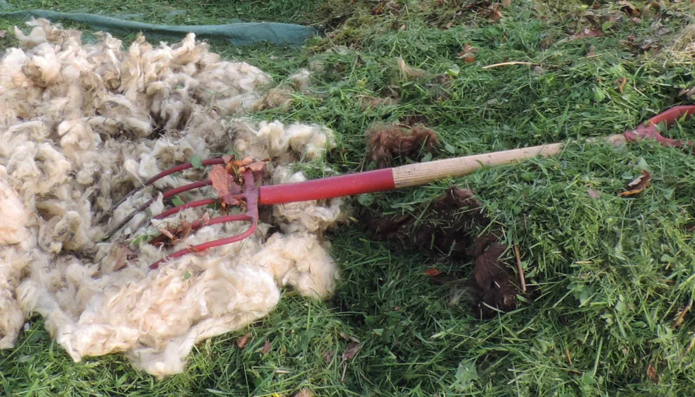 Ull Blandet Med Gressklipp I Kompost Foto Kmc Dscn5639 Ull blandet med gressklipp i kompost (Foto: Kirsty Mckinnon)