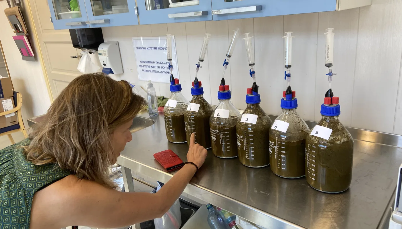 Cal-Me Tatiana I Cal-Me undersøker vi effekt av kalk på nedbryting av organisk materiale og utslipp av metan fra bløt storfegjødsel i inkubasjonsforsøk. Bildet er fra en innledende studie. (Foto: Sissel Hansen)