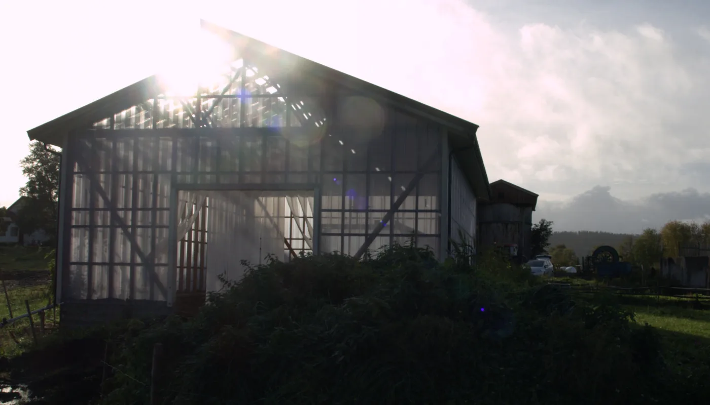 Veksthus NYTT REGELVERK: Nye regler vil kreve andre dyrkingsmetoder for økologisk veksthusproduksjon (Foto: Susanne Friis Pedersen)