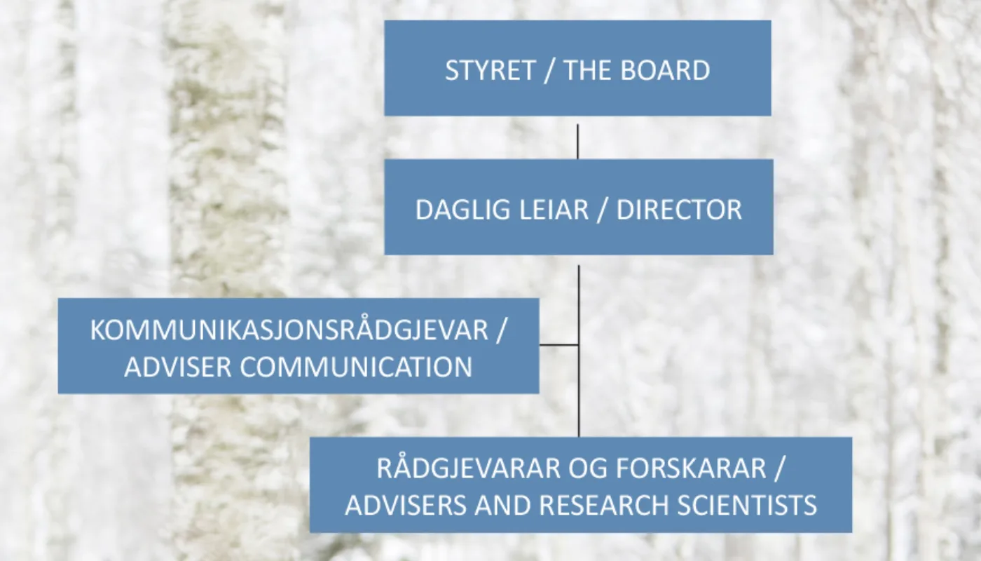 Organisasjonskart Top