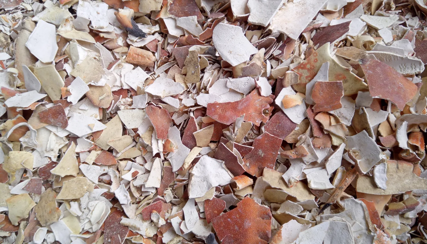 Sjokonservert krabbeskall et restrastoff med verdi for landbruket Heading Sjøkonservert krabbeskall et restrastoff med verdi for landbruket (Foto: Sara Hansdotter)