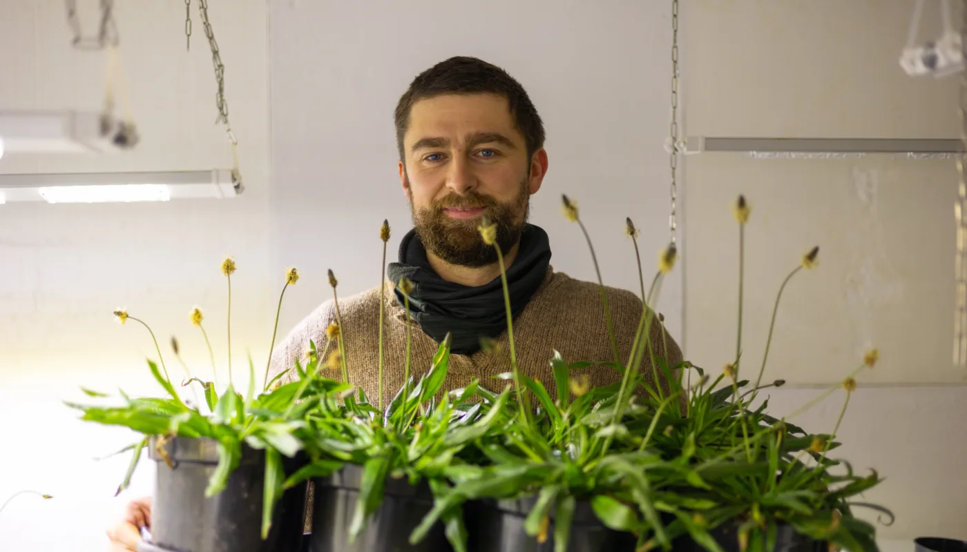 Portrett Max Koch cropdrive Doktorgradsstipendiat Maximilian Koch forsker på planten Smalkjempes effekt på jordhelse. Stoffer som disse plantene skiller ut i jorda kan kanskje motvirke sykdom som ødelegger store menger poteter hvert år. (Foto: Vegard Botterli)