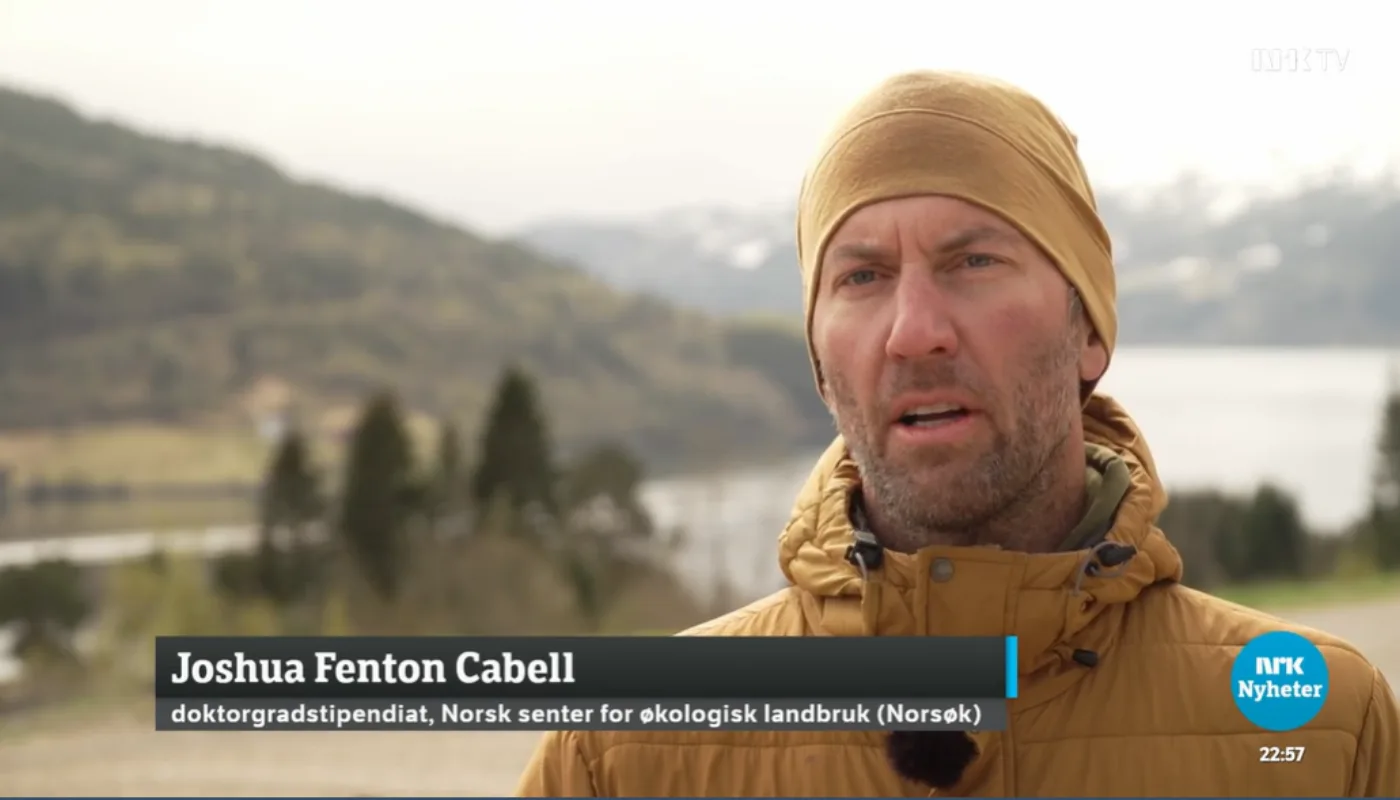 NRK Marigreen PhD-stipendiat Joshua Cabell komposterer marine restråstoff som tang og fiskrester for å lage fornybar gjødsel. Her fra et TV-intervju om prosjektet i NRK Nyheter. (Foto: Erik Haukenes/NRK)