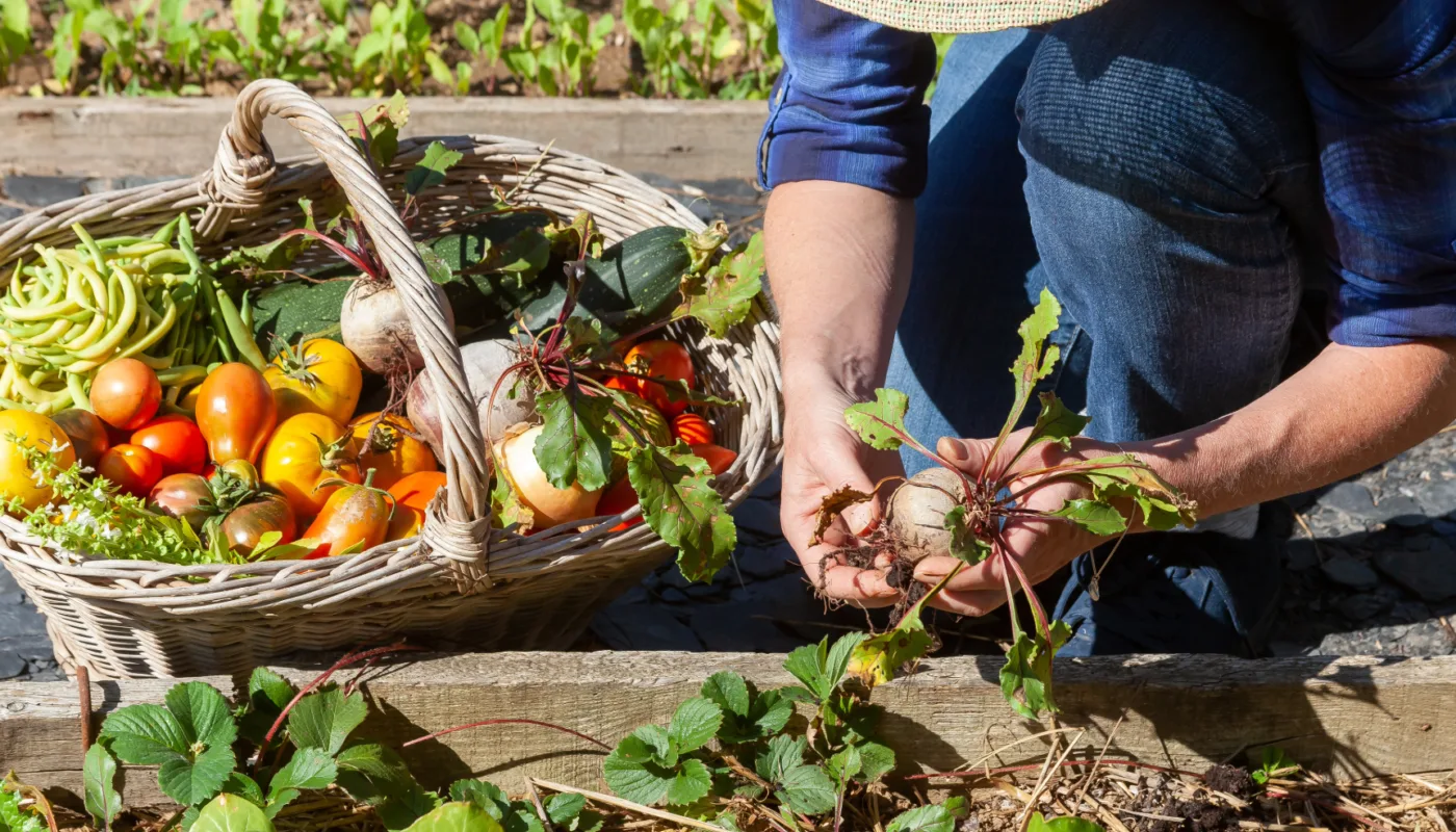 Kjokkenhagedagen 2024 Kjokkenhagedagen 2024