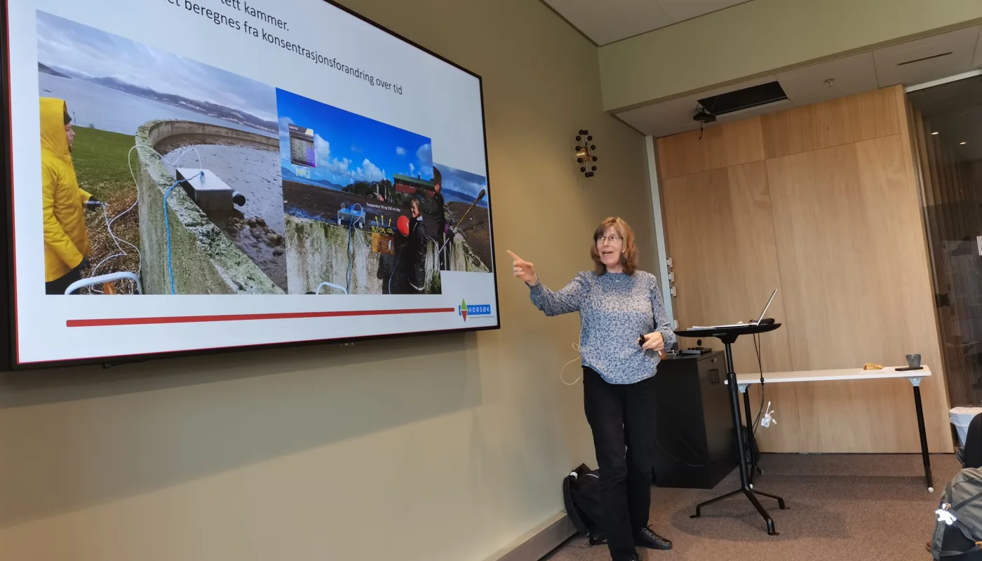 IMG 20241015 111517 Seniorforsker Sissel Hansen (NORSØK) innledet om metangassmålinger i det norske landbruket og potensielle tiltak som kan begrense de. (Foto: Synnøve Rivedal)