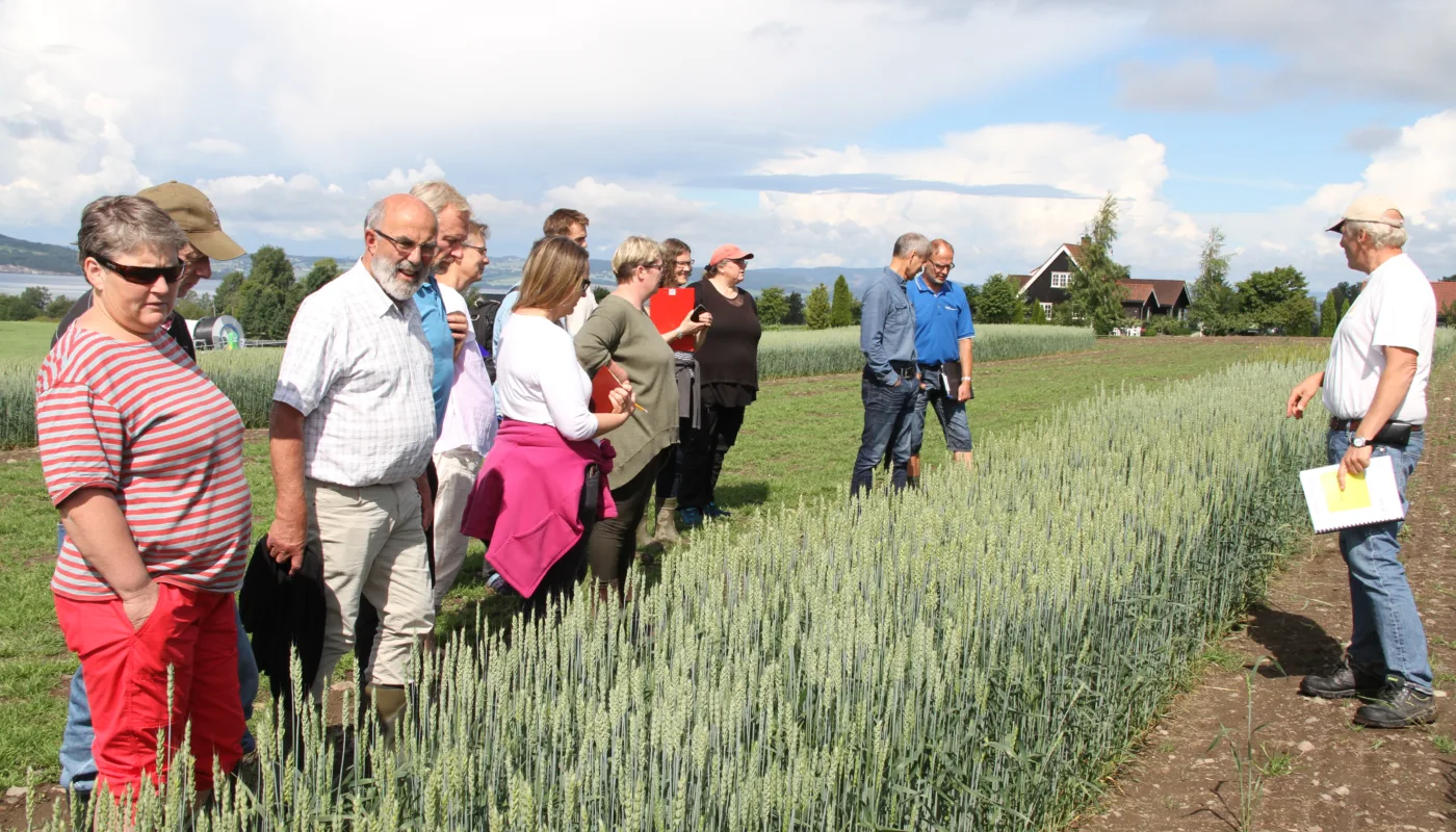 Img 8323 Foto Eva Pauline Hedegart Markdag Stange John Arne Dieseth i Graminor viste et stort mangfold av hvetesorter. (Foto: Eva Pauline Hedegart, NLR)