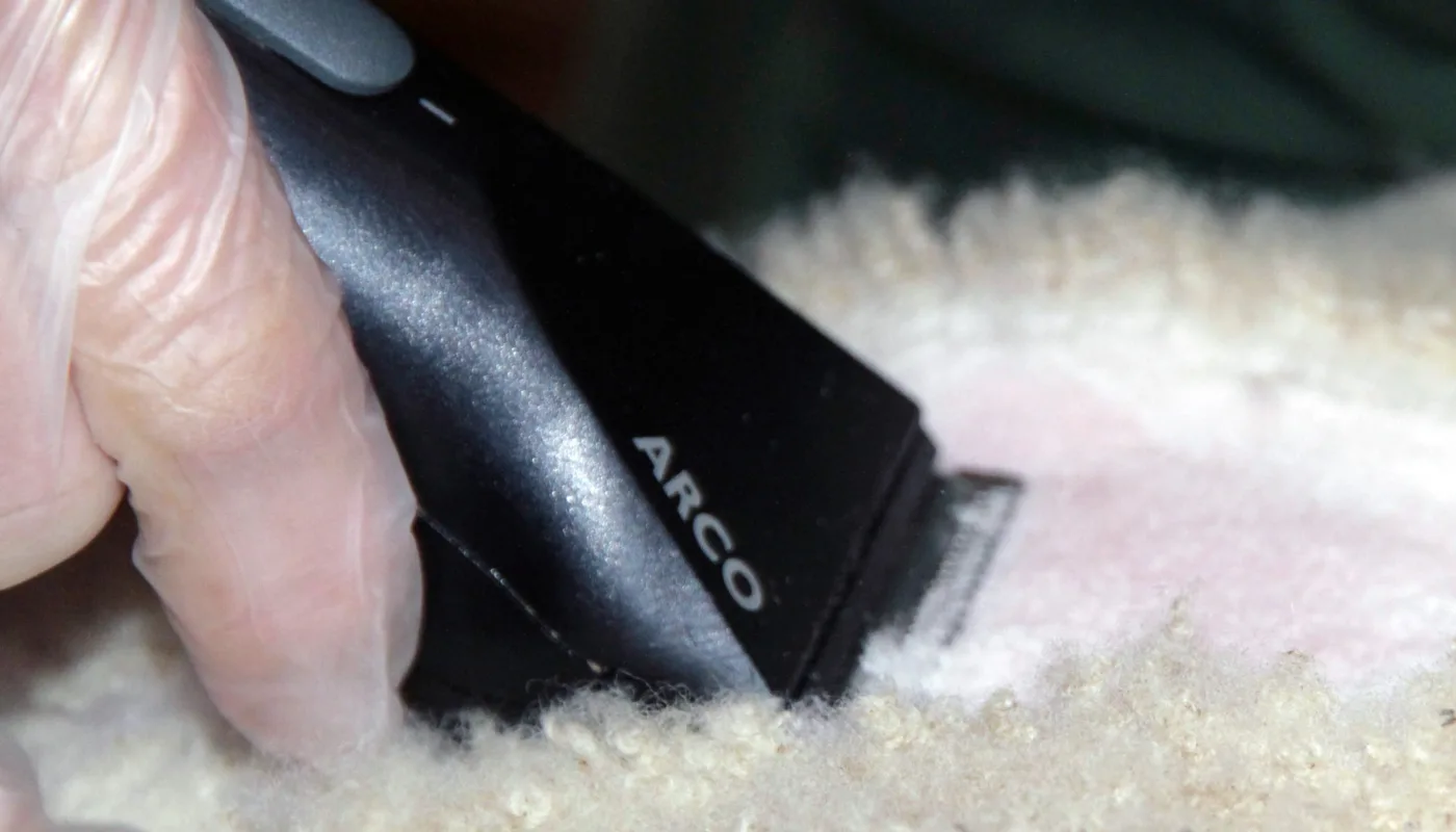 Anita Land 9463 Anita Land 9463