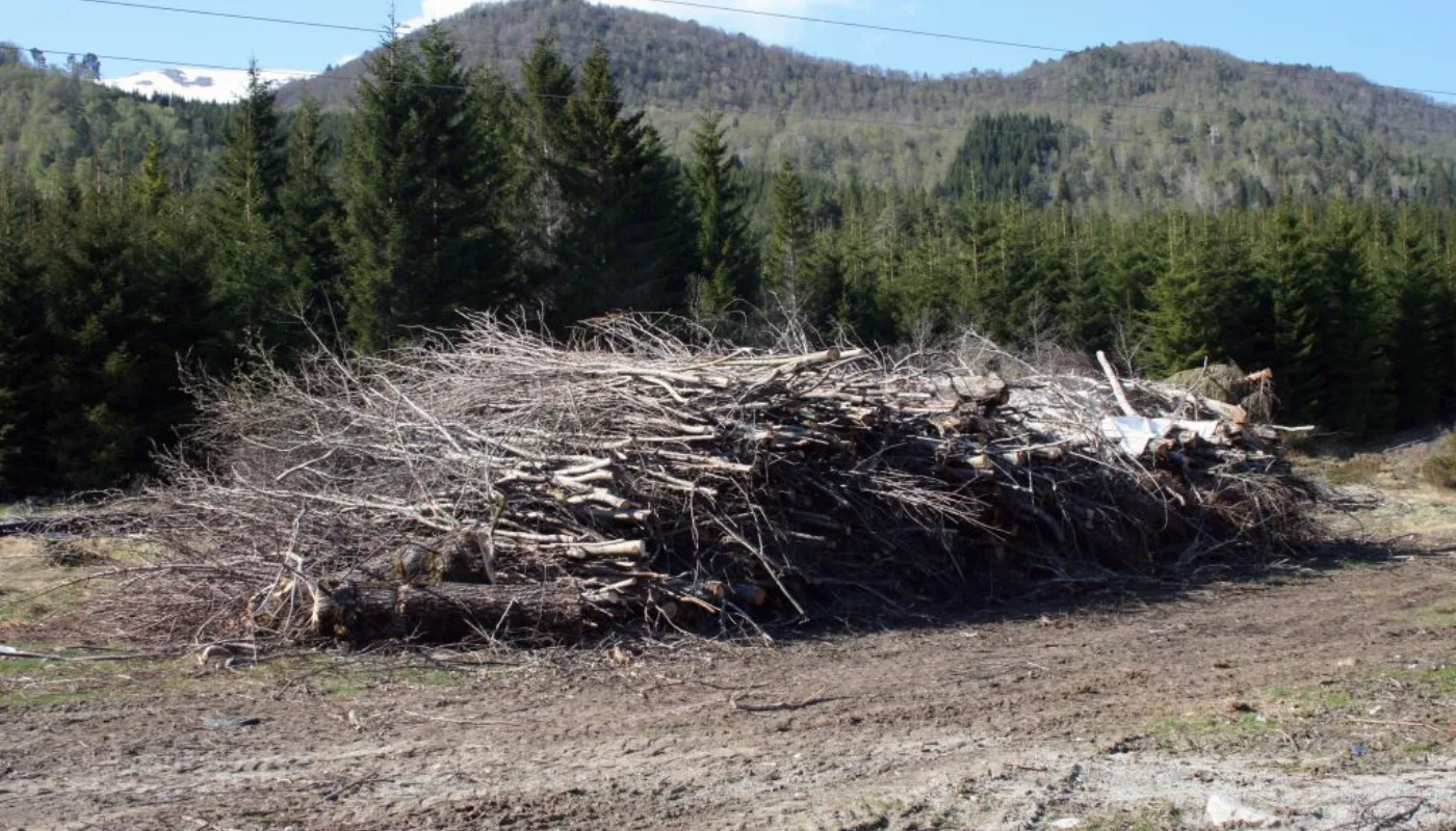 Flisfyrt Gardsanlegg Lars Heleg Eidahamer Tresfjord Apr 09 001 Flisfyrt gardsanlegg. (Foto: Lars Heleg Eidahamer)