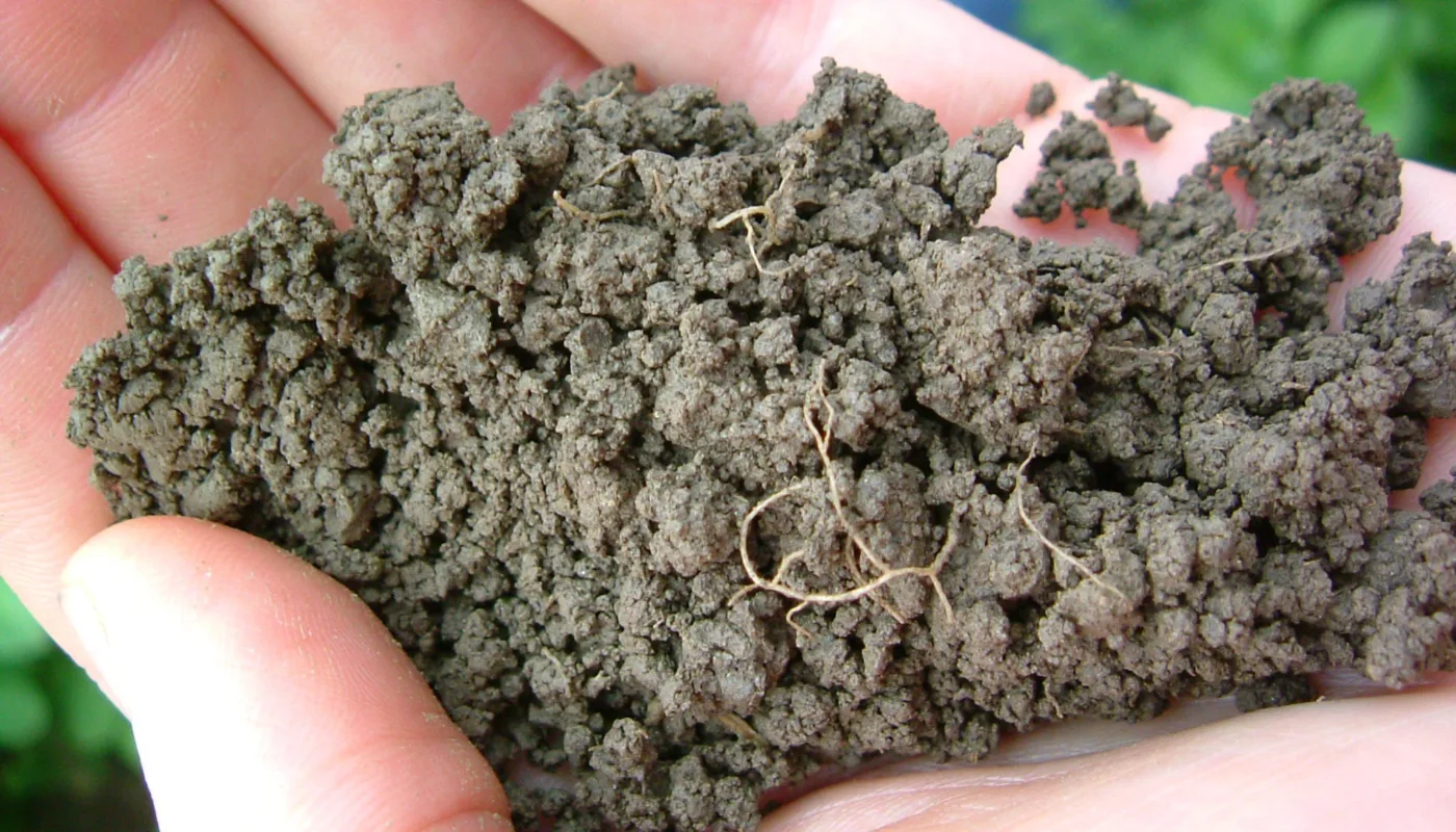 Grynstruktur Jord Foto Rp Grynstruktur Jord Foto Rp