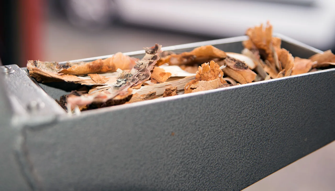 Bark Foto Olaf Østbø Bark inneheld tanninar (garvestoff). Er det mulig å utnytte dette som middel mot mage- og tarmparasittar hos drøvtyggarar? (Foto: Olaf Østbø. NIBIO)