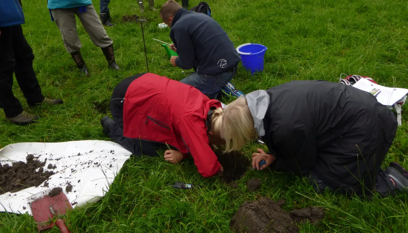 Jordlappen P1020251 Jordlappen P1020251 (Foto: Reidun Pommeresche)