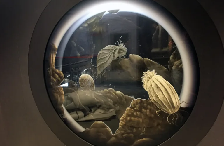 Tingvoll Økopark åpna