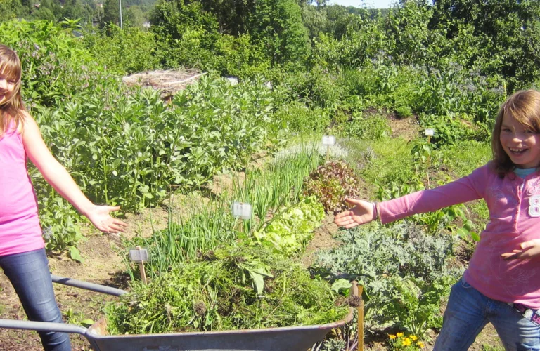 Starte skolehage? Inspirasjonskurs 19. oktober 2017 på Tingvoll