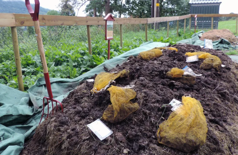 Biologiske metoder for nedbryting av medisinrester i gjødsel Biologiske metoder for nedbryting av medisinrester i gjødsel