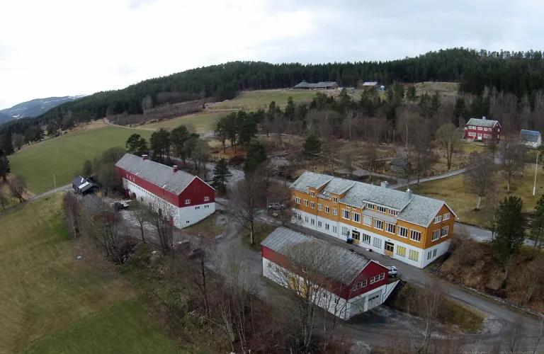 Årsmelding 2019: Daglig leder har ordet