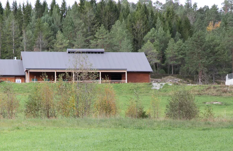 Enklere, billigere og automatiserte fjøsløsninger i melkeproduksjonen