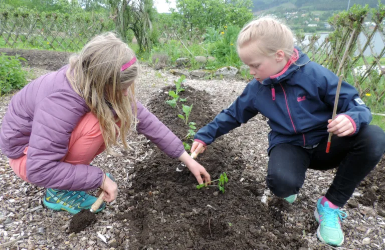 KURS - Praktisk i skolehagen og kjøkkenhagen, Tingvoll