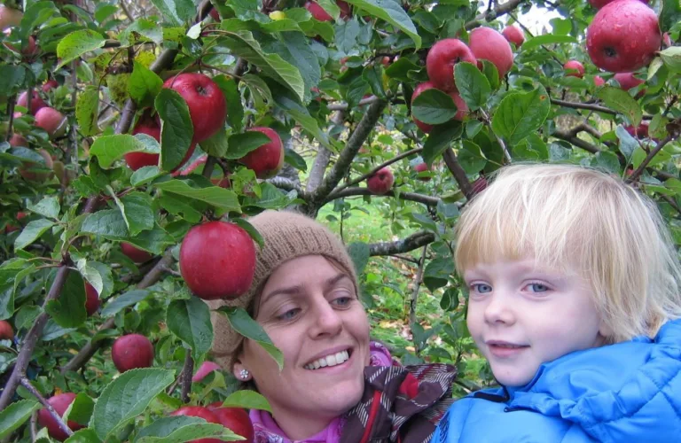 Skolehageseminaret 2018