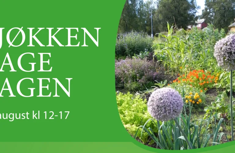Kjøkkenhagedagen på Tingvoll gard