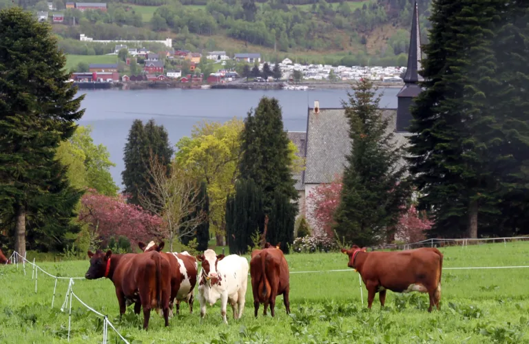 Foredrag: Konsekvensene av et norsk EAT-scenario for vår landbaserte matproduksjon, Ås