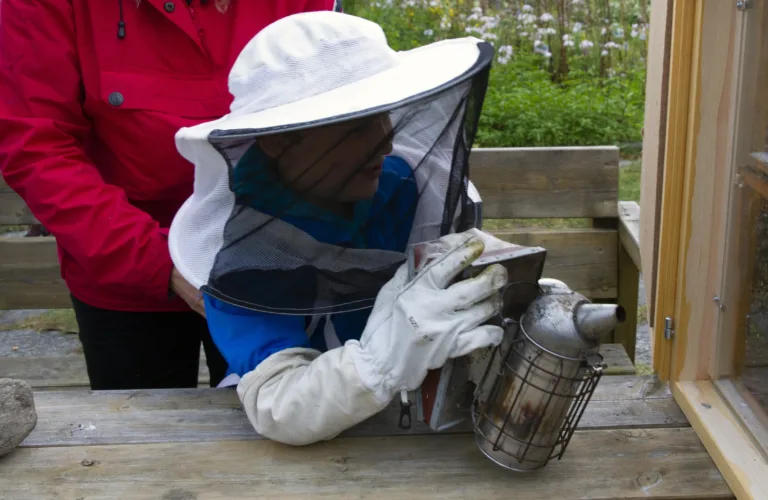 Workshop om balansert birøkt