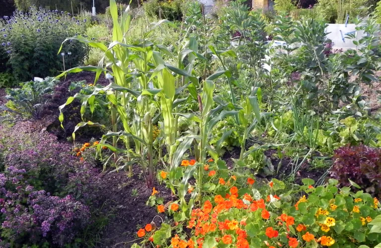 Planlegging av neste sesong.