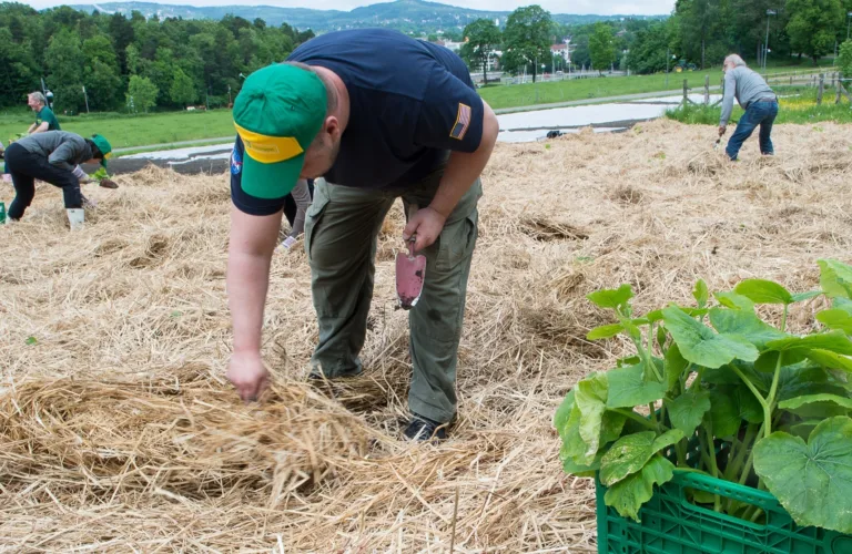 Bønder og byen: URBANFARMS