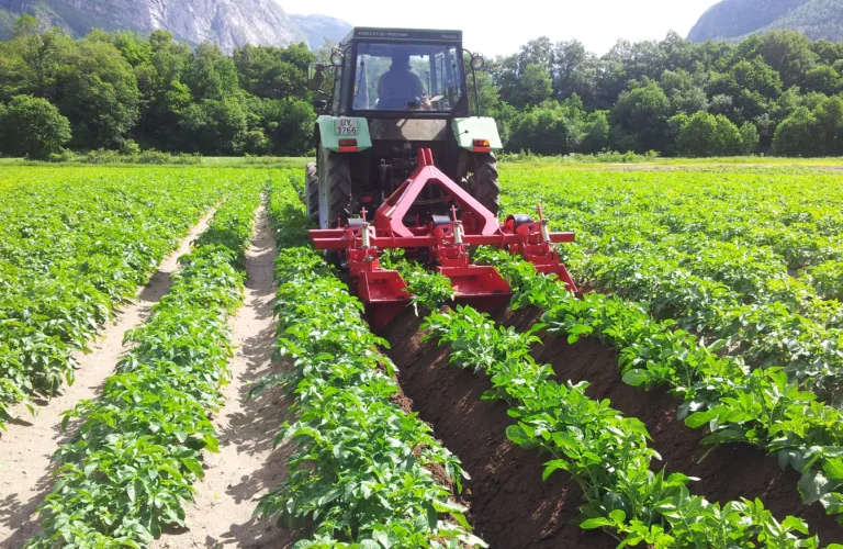 Markdag potet på Byneset, 25. juni 2019 kl. 10-13