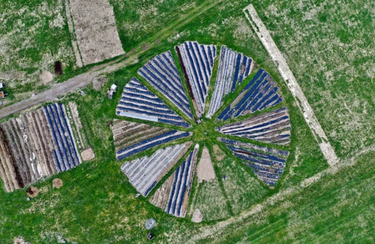 Markvandring med faginnlegg på Ørsta Andelsgard SA  21. september