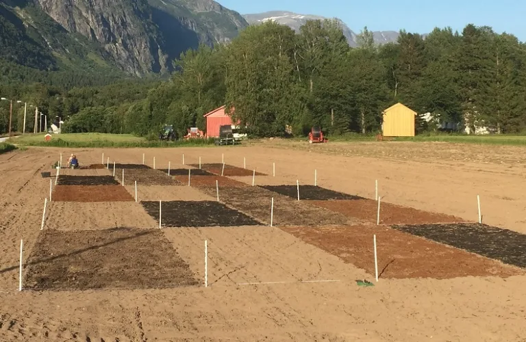 Mer organisk materiale i jord brukt til intensiv potetdyrking – hvordan påvirker det jord, potetavlinger og sjukdommer på potet? (MERMOLD)