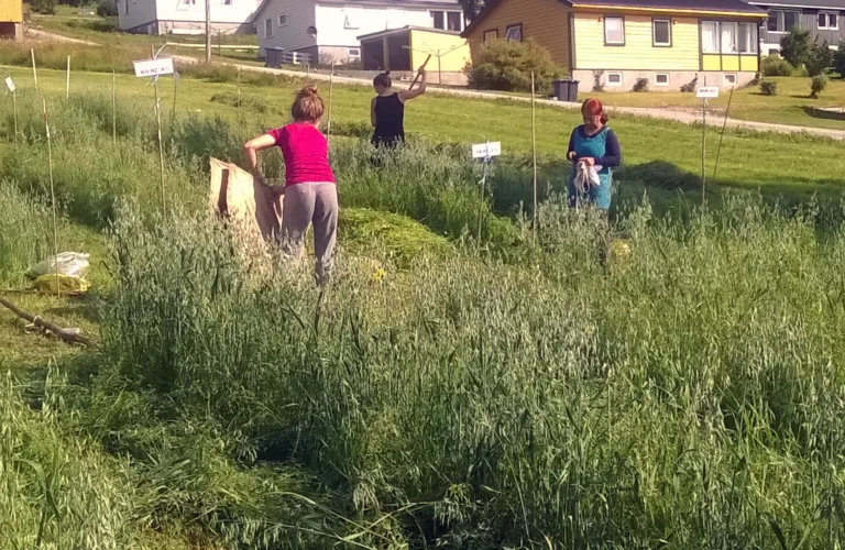 Restråstoffer fra havet som gjødsel til økologisk landbruk (RESTOR)