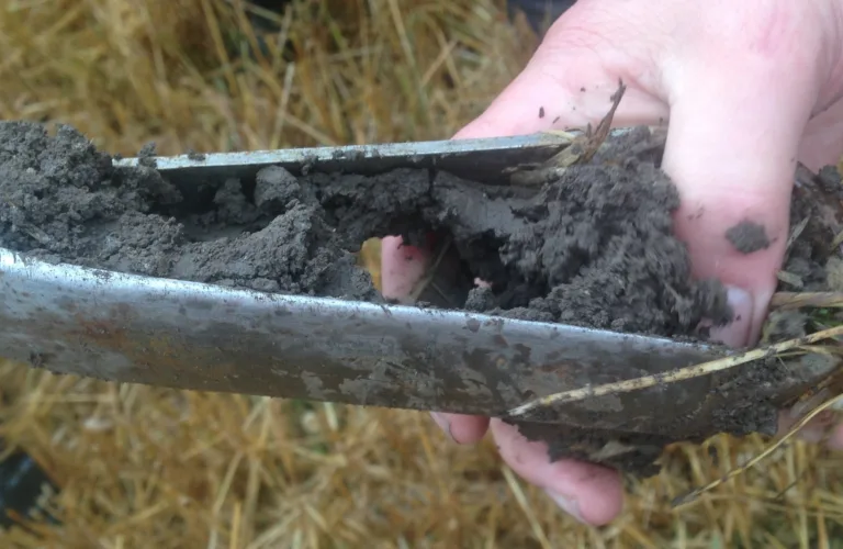 Karbon til bondens beste