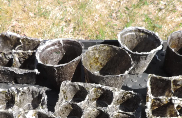 Woolly Pot - å redusere plastforbruk i norske gartnerier