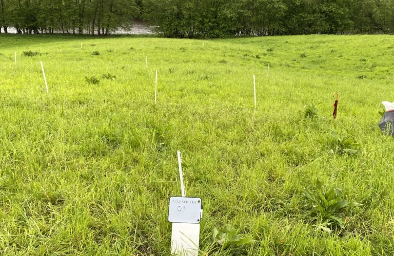 Jord og regenerativt landbruk: Hva kan økologisk jordbruk bidra med og lære.