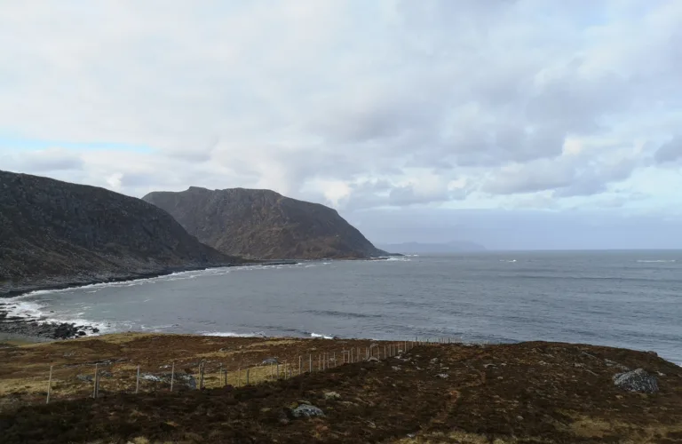Vil skape nye beiteareal ved å gjenopplive truet naturart langs kysten