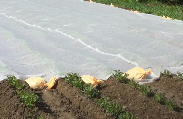 Fiber fra havet gir mold i jorda (FIMO)