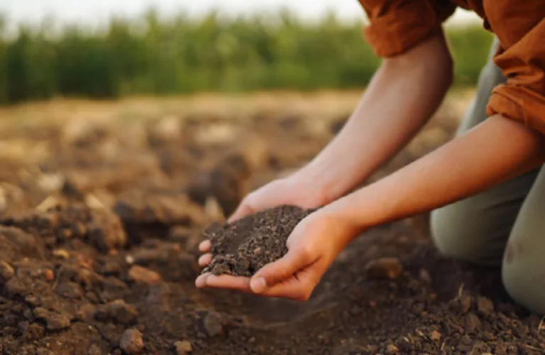 Bedre metoder for styrket karbonlagring og reduserte klimautslipp (C-arouNd)