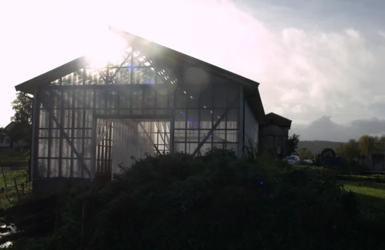 NORSØK skal finne løsninger etter regelendring for økologiske veksthus.