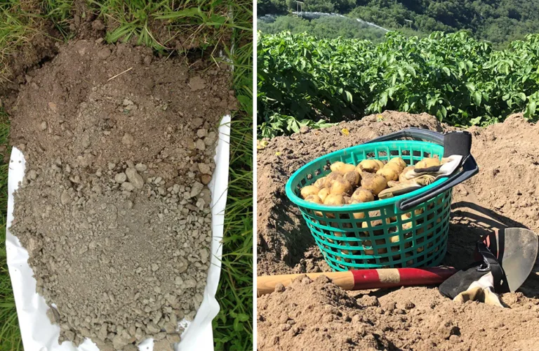 Hva skjer når karbon tilføres norsk landbruksjord? Hva skjer når karbon tilføres norsk landbruksjord?
