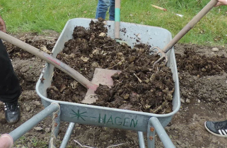 Styrking av skolehagens rolle i undervisningen i Møre og Romsdal
