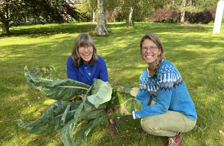Det trengs mer nøyaktige målinger av lystgassutslipp fra landbruket