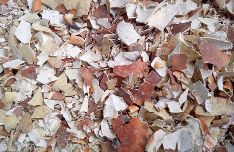 Sjøkonservert krabbeskall: Test av kalkvirkning og plantestyrkende effekt