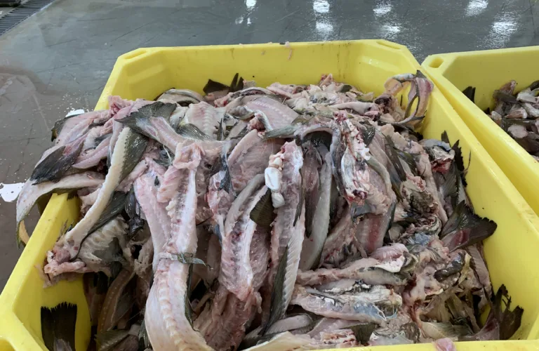 Sirkularitet og industrielle samarbeid på tvers i Møre og Romsdal