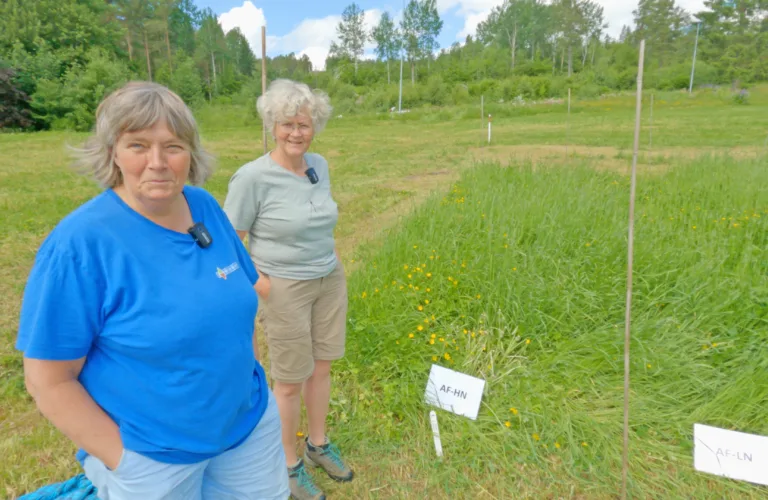 Innovation with Seaweed and Kelp: The SeaSoil Project Innovation with Seaweed and Kelp: The SeaSoil Project