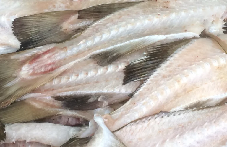 MARIGREEN: Bærekraftig utnyttelse av marine restråstoff til økt økologisk planteproduksjon i Europa